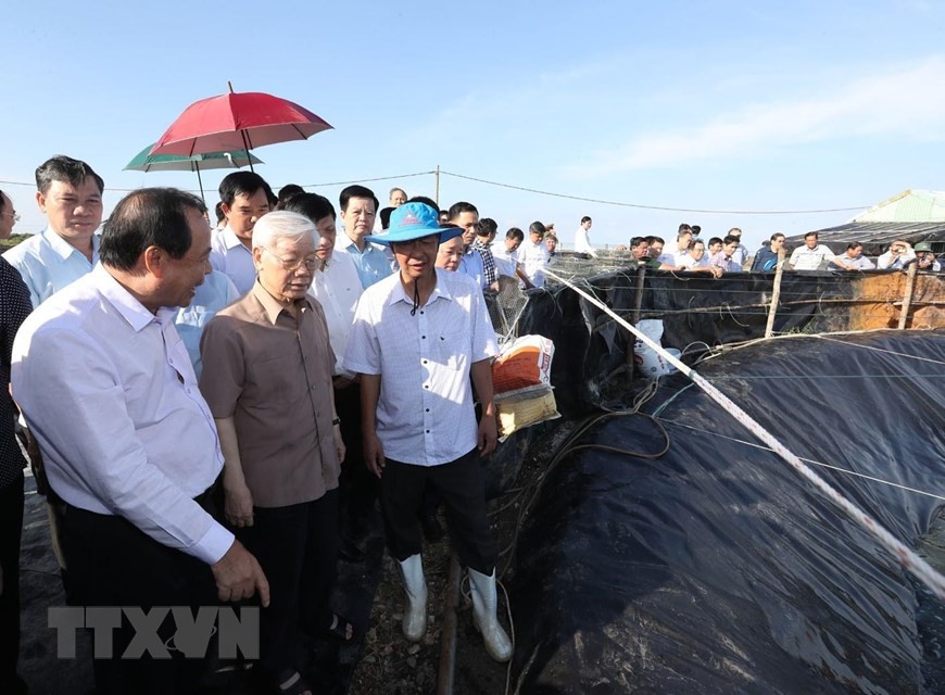 H&igrave;nh ảnh Tổng B&iacute; thư, Chủ tịch nước Nguyễn Ph&uacute; Trọng l&agrave;m việc ở Ki&ecirc;n Giang - Ảnh 1.