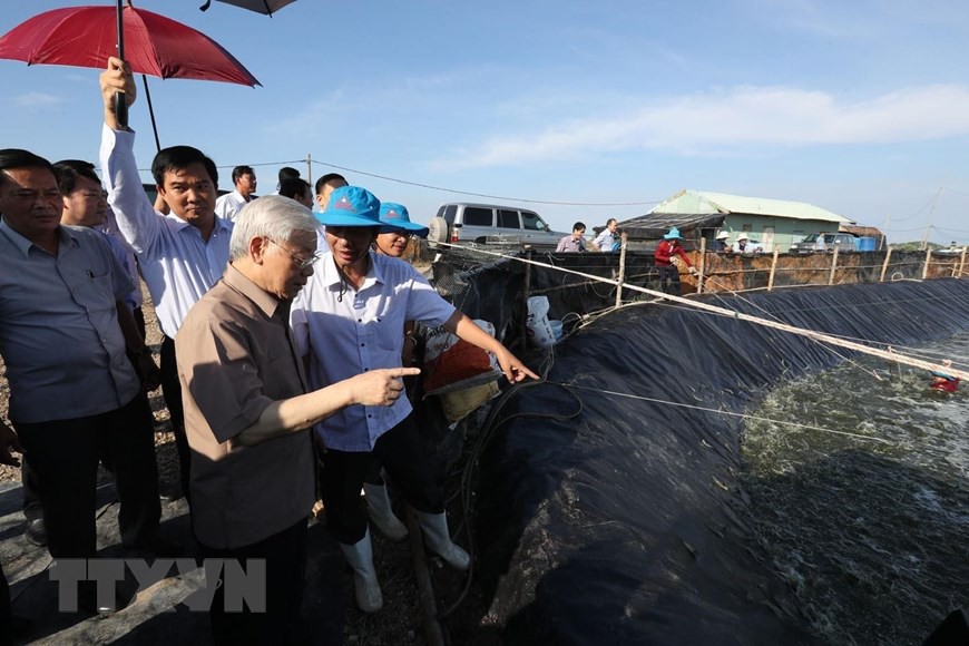 H&igrave;nh ảnh Tổng B&iacute; thư, Chủ tịch nước Nguyễn Ph&uacute; Trọng l&agrave;m việc ở Ki&ecirc;n Giang - Ảnh 3.