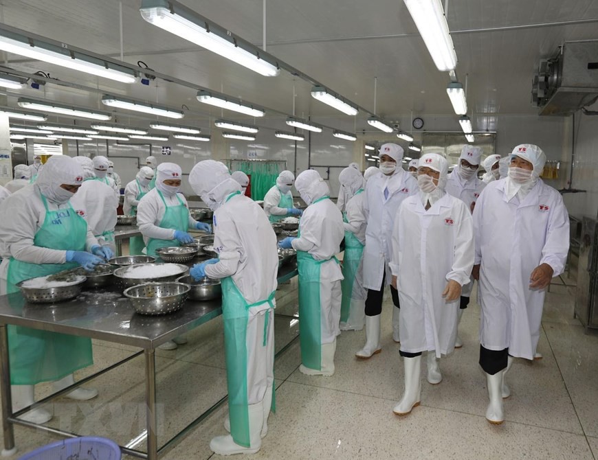 H&igrave;nh ảnh Tổng B&iacute; thư, Chủ tịch nước Nguyễn Ph&uacute; Trọng l&agrave;m việc ở Ki&ecirc;n Giang - Ảnh 5.