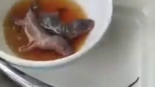 Rùng mình với món chuột sữa chấm nước mắm... ăn sống
