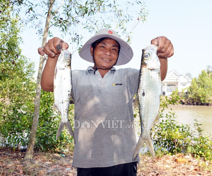 Ngợp với cảnh mỏi tay vớt c&aacute; dạt v&agrave;o bờ ở C&agrave; Mau, Bạc Li&ecirc;u - Ảnh 6.