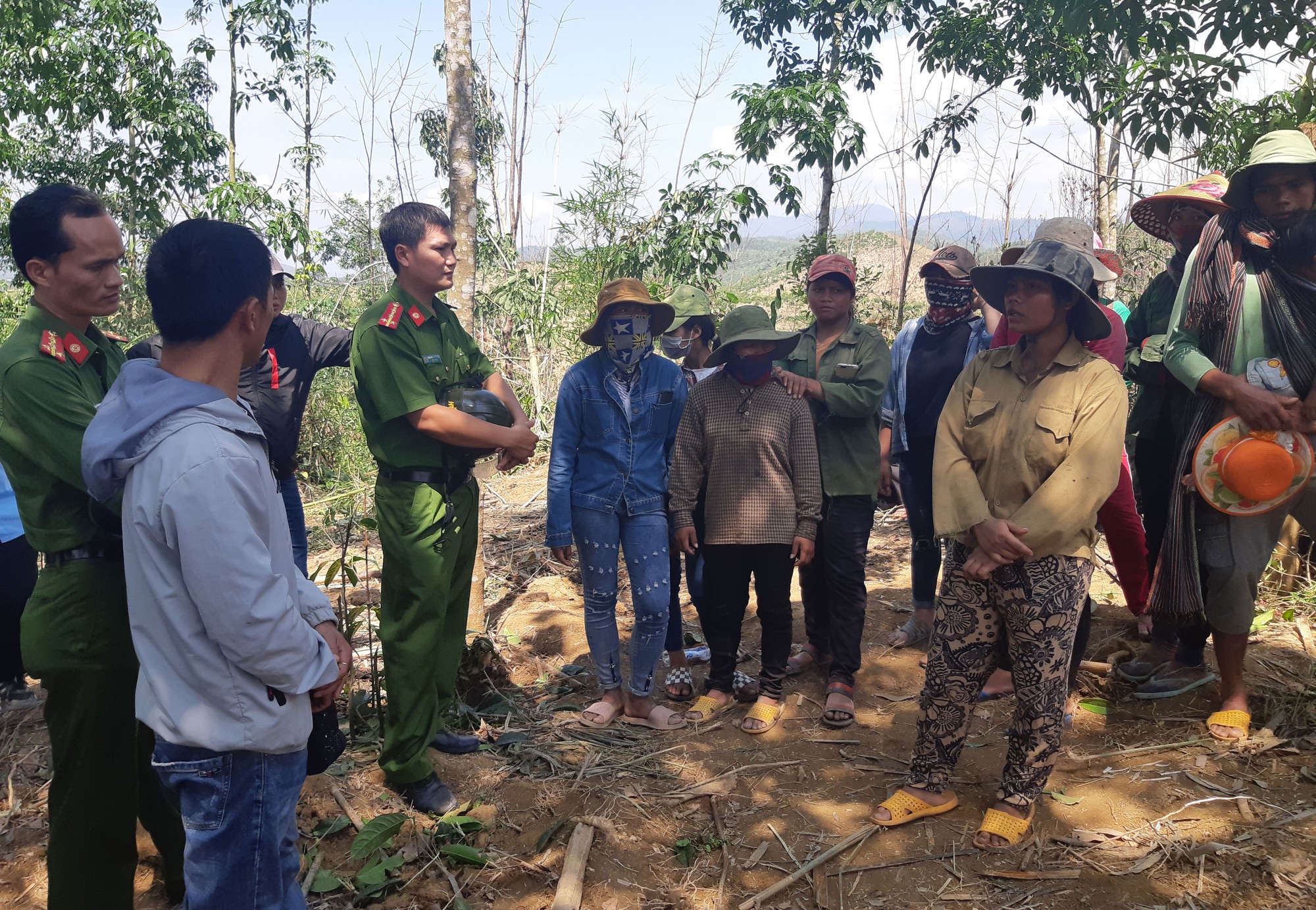 Khởi tố vụ án phá rừng trồng của doanh nghiệp