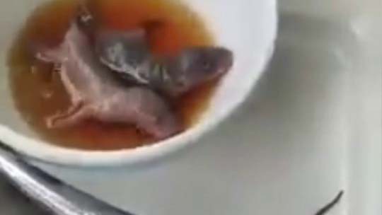 Kinh hãi món gì cũng thành mồi nhậu - Ảnh 1.