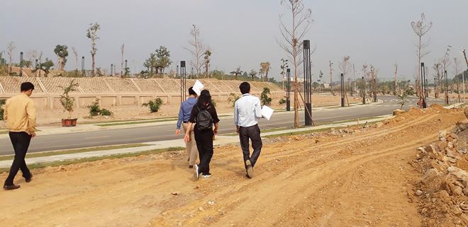 Đầu tư đất nền, tránh “hiệu ứng” đám đông