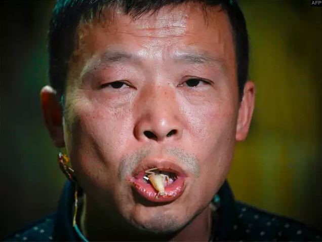 Mục sở thị trang trại nu&ocirc;i h&agrave;ng triệu con gi&aacute;n l&agrave;m mồi nhậu - Ảnh 1.