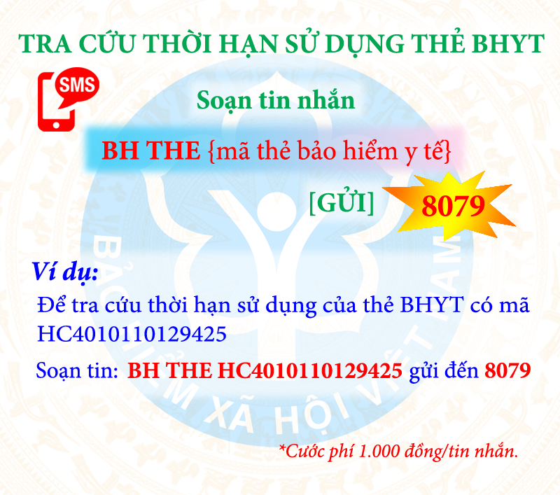 Tra cứu đ&oacute;ng, hưởng BHXH, BHYT bằng tin nhắn điện thoại - Ảnh 4.