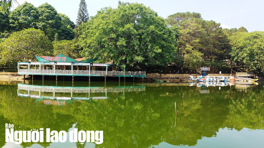 Gia Lai giao đất c&ocirc;ng vi&ecirc;n cho doanh nghiệp x&acirc;y nh&agrave; h&agrave;ng tr&aacute;i luật - Ảnh 2.