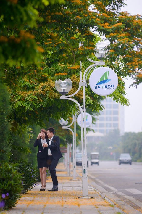 Rực rỡ sắc vàng giáng hương trên phố biển Sầm Sơn - Ảnh 5.