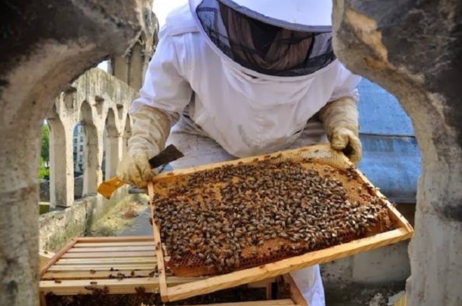 Những &ldquo;nh&acirc;n vật đặc biệt&rdquo; sống s&oacute;t sau vụ ch&aacute;y Nh&agrave; thờ Đức B&agrave; Paris - Ảnh 4.