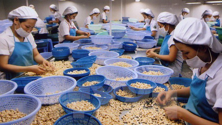 Thanh Hóa: Thi ảnh "Nét đẹp Công đoàn và người lao động"