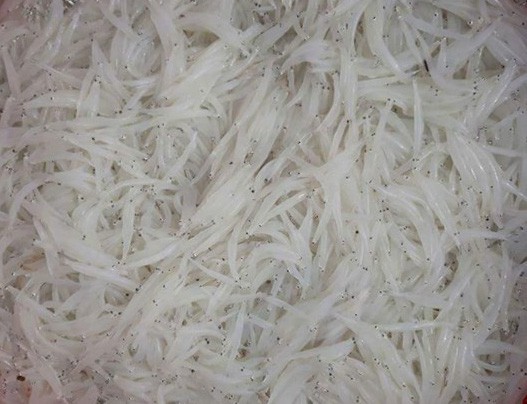 Nhiều người Hà Nội tranh mua con cá trắng tinh, thân mềm như bún