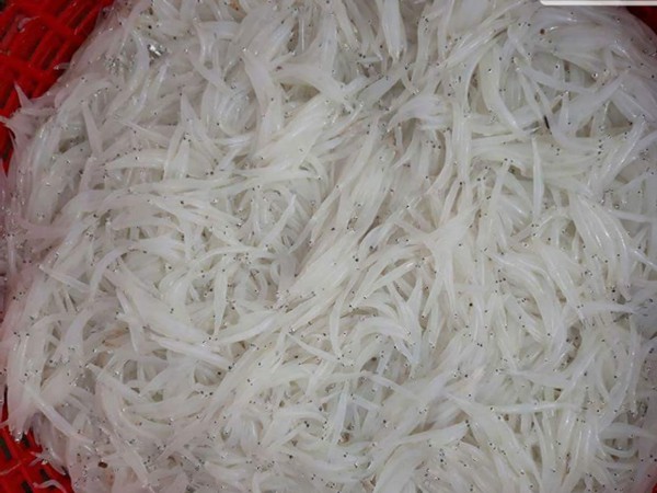 Nhiều người H&agrave; Nội tranh mua con c&aacute; trắng tinh, th&acirc;n mềm như b&uacute;n - Ảnh 3.