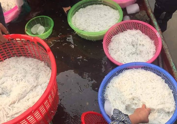 Nhiều người H&agrave; Nội tranh mua con c&aacute; trắng tinh, th&acirc;n mềm như b&uacute;n - Ảnh 4.