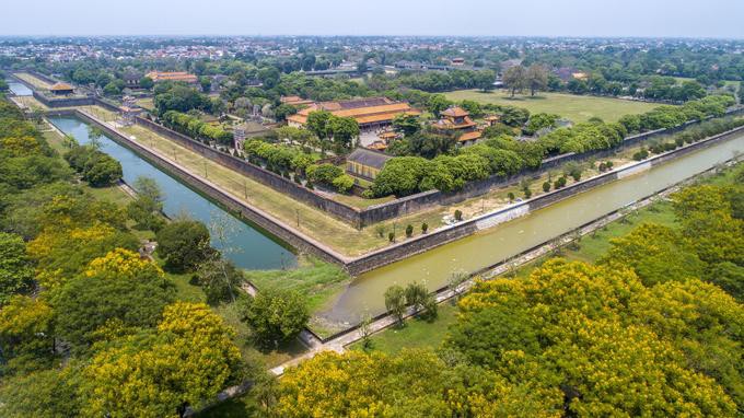 Những loài hoa khoe sắc trong nắng hạ ở Huế - Ảnh 5.