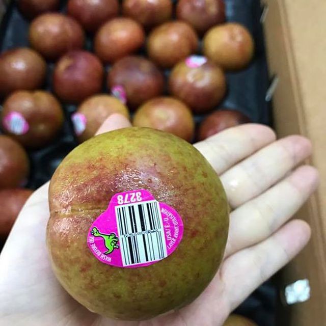 Mận “khủng long” nhập khẩu Úc to như quả đấm