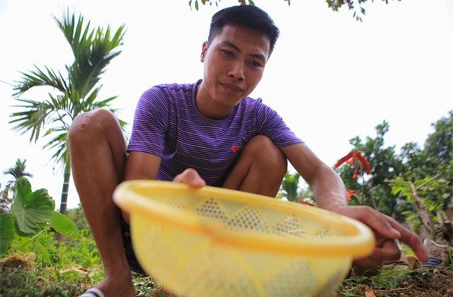 Săn trứng kiến l&agrave;m m&oacute;n ăn đặc sản ở ngoại th&agrave;nh H&agrave; Nội - Ảnh 7.