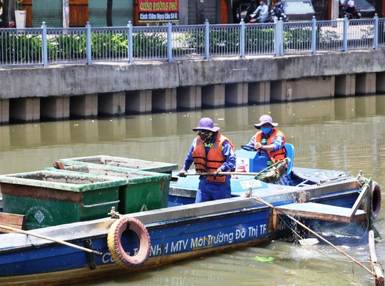 UBND TP HCM chỉ đạo giảm đàn cá ở kênh Nhiêu Lộc - Thị Nghè