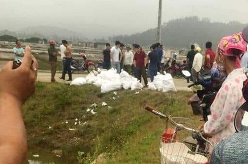 Truy nã quốc tế "ông trùm" Đài Loan trong vụ bắt giữ 700 kg ma túy đá