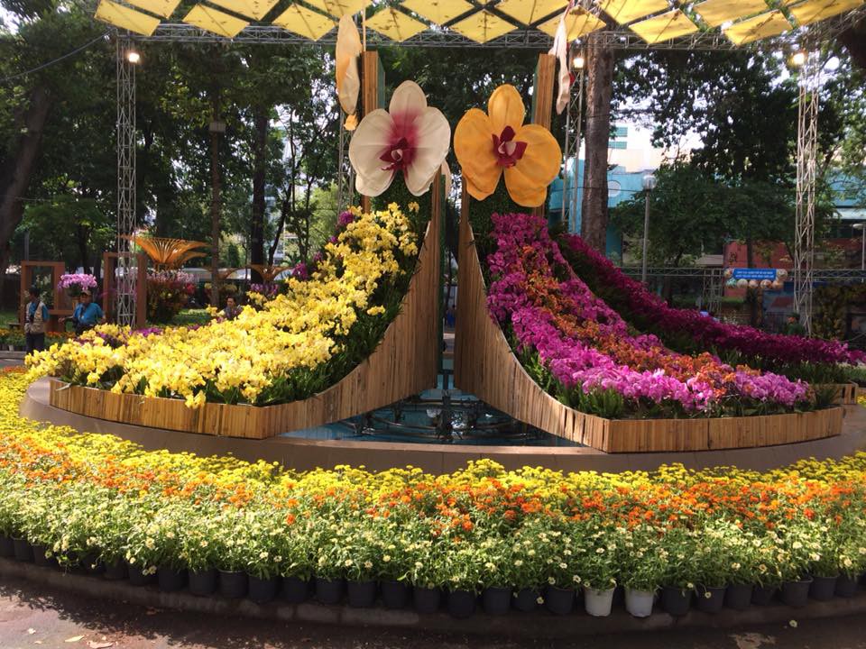 Festival Hoa lan TP HCM khai mạc, miễn phí cho khách tham quan