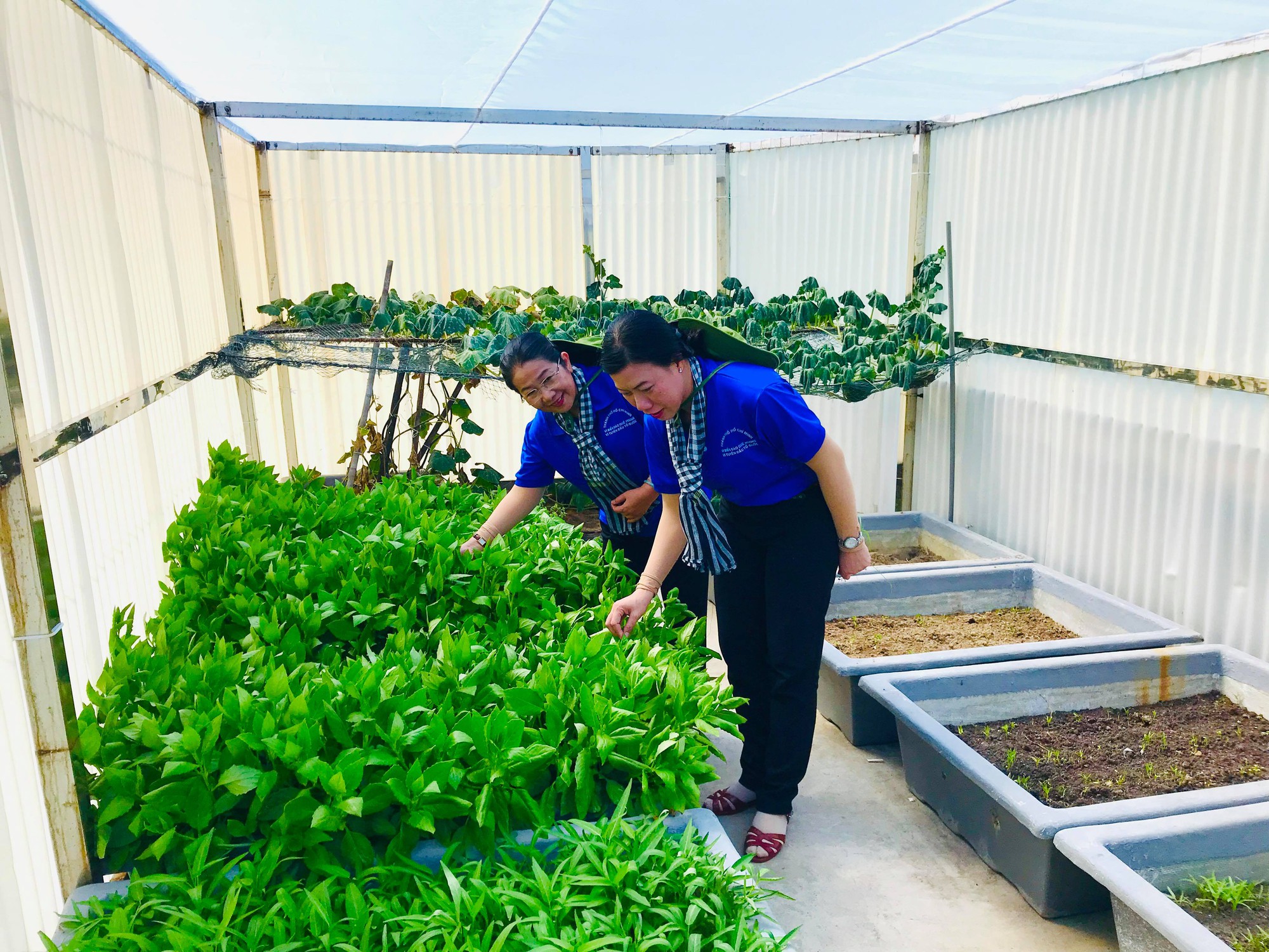 Hành trình đến với Trường Sa thân yêu - Ảnh 10.