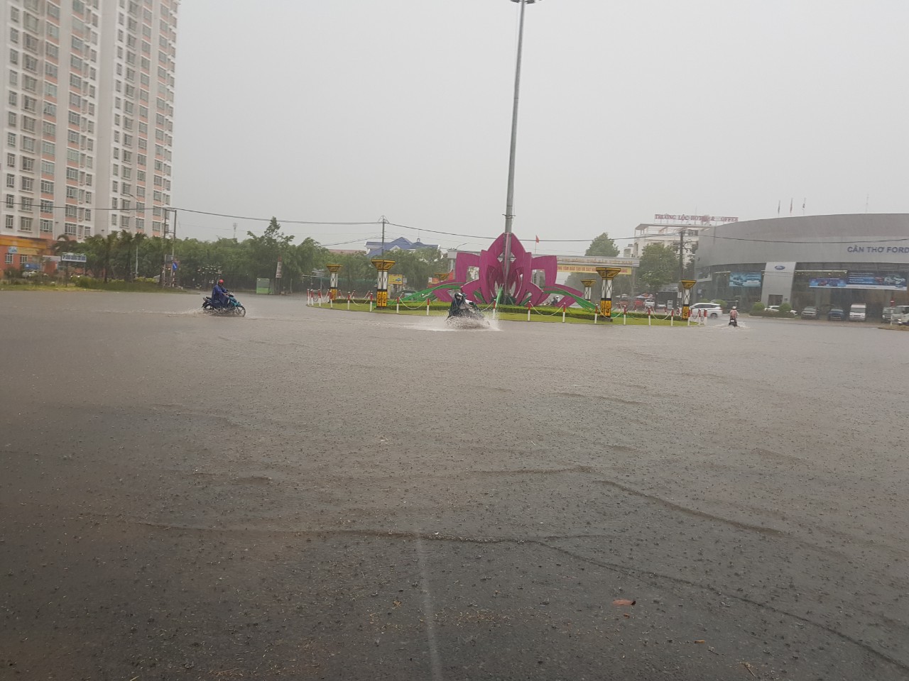 Trời nắng gắt mấy th&aacute;ng qua bỗng đổ mưa v&agrave;ng, giải nhiệt cho người d&acirc;n T&acirc;y Đ&ocirc; - Ảnh 1.