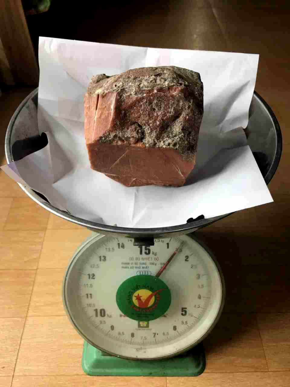 Tảng b&aacute;u vật của biển chỉ nặng 1,5kg nhưng trị gi&aacute; h&agrave;ng tỉ ở Ninh B&igrave;nh - Ảnh 4.
