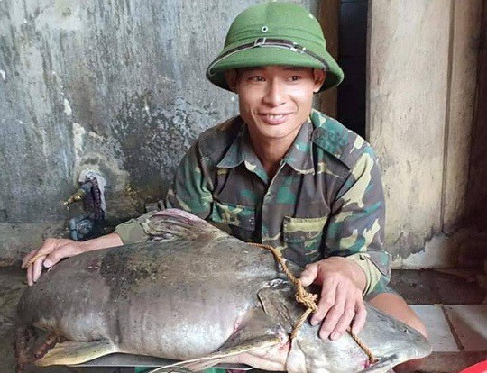 Ngày lễ, thả câu bắt được cá ghé “khủng” 22 kg, dài hơn 1 m
