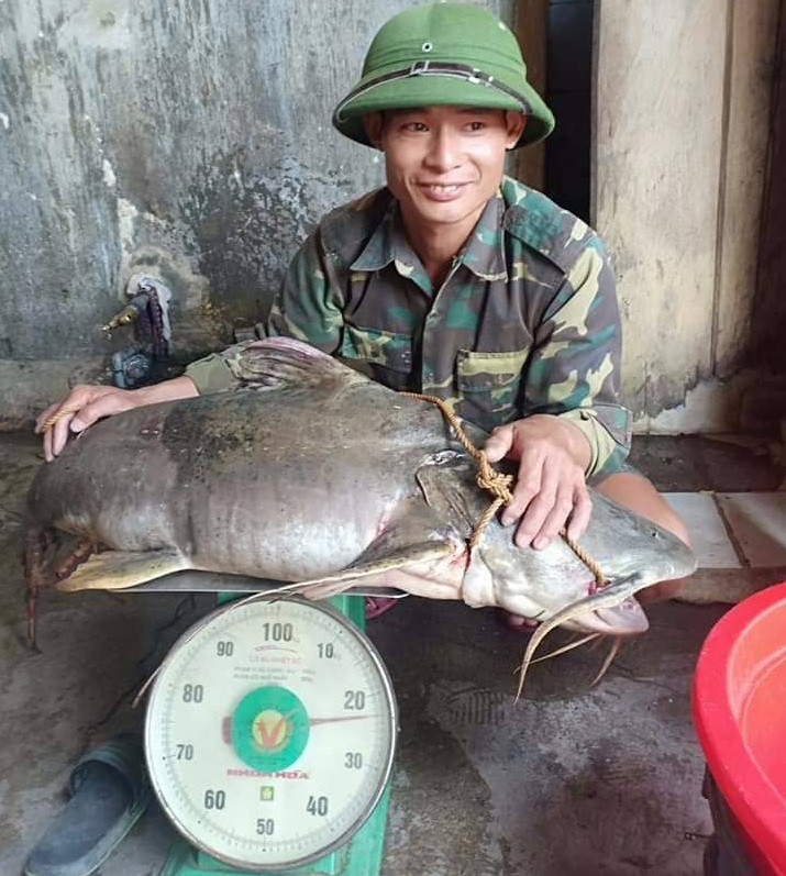 Ng&agrave;y lễ, thả c&acirc;u bắt được c&aacute; gh&eacute; &ldquo;khủng&rdquo; 22 kg, d&agrave;i hơn 1 m - Ảnh 1.