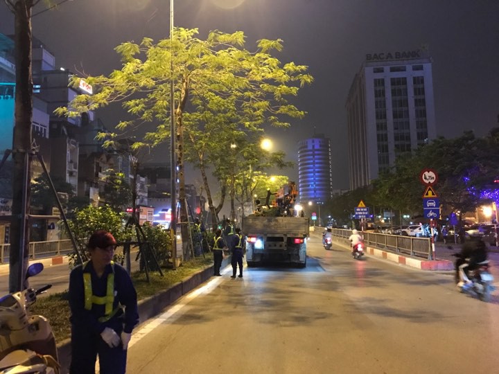 Hà Nội lý giải gì về việc bất ngờ chặt hạ hàng loạt cây phượng trong đêm?