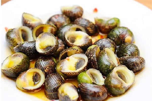 Khám phá ốc ngựa người đẹp đồng quê ở Việt Nam - Ảnh 5.