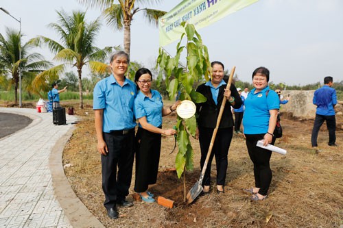 Tạo mảng xanh tại nơi l&agrave;m việc - Ảnh 1.