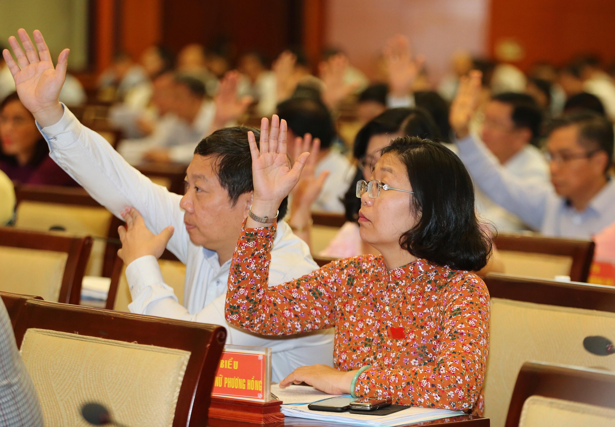 TP HCM: Bầu thêm Phó Chủ tịch HĐND TP