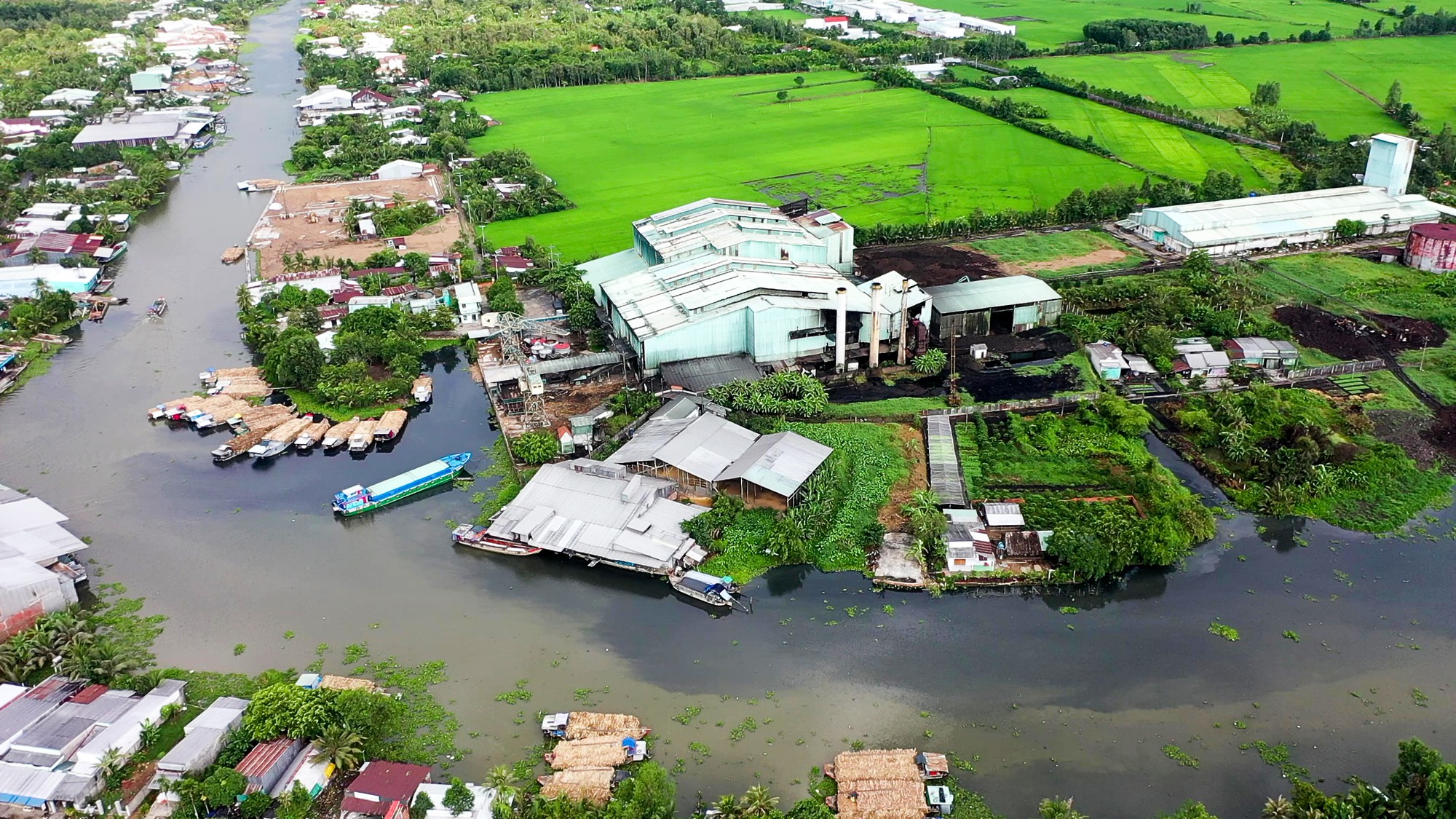 Nhà máy đường bị đình chỉ vì gây ô nhiễm, hàng chục hộ bán mía sắp... chết chìm - Ảnh 1.