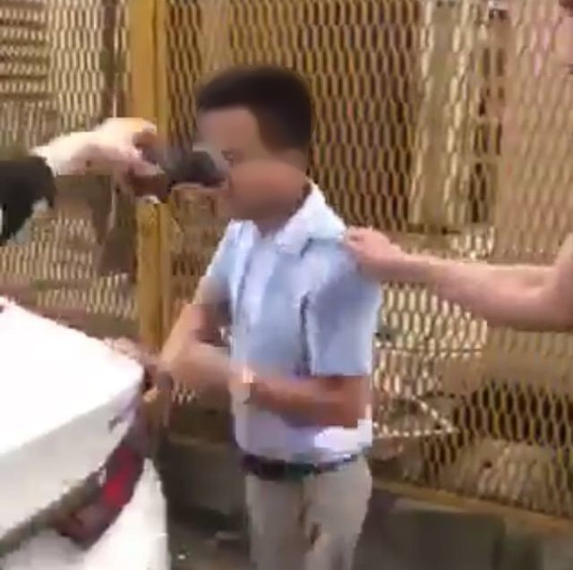 Bị tố s&agrave;m sỡ nữ học vi&ecirc;n, thầy dạy l&aacute;i xe tố ngược bị h&agrave;nh hung v&agrave; dọa giết cả nh&agrave; - Ảnh 1.