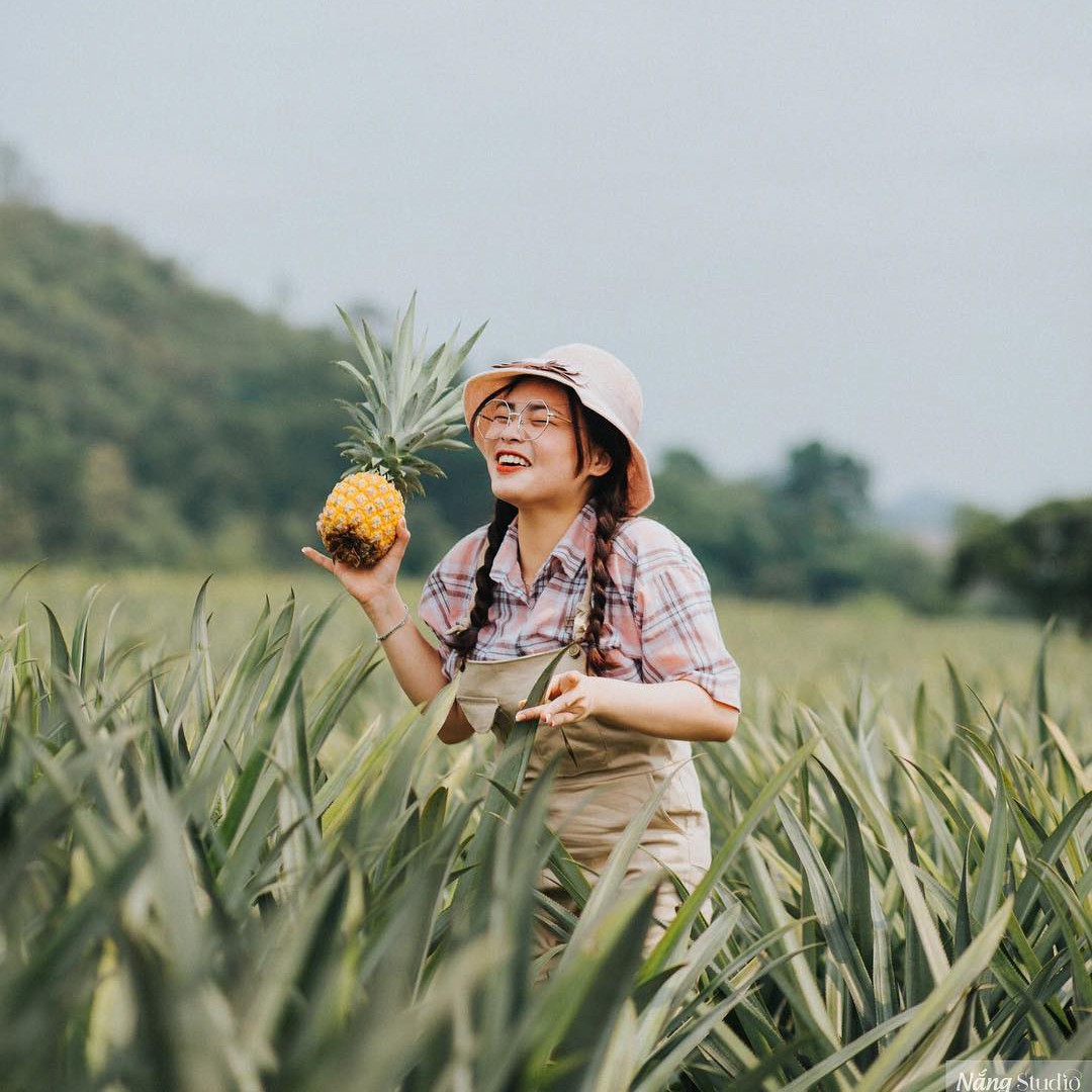 C&aacute;nh đồng dứa h&uacute;t giới trẻ check-in ở Ninh B&igrave;nh - Ảnh 5.