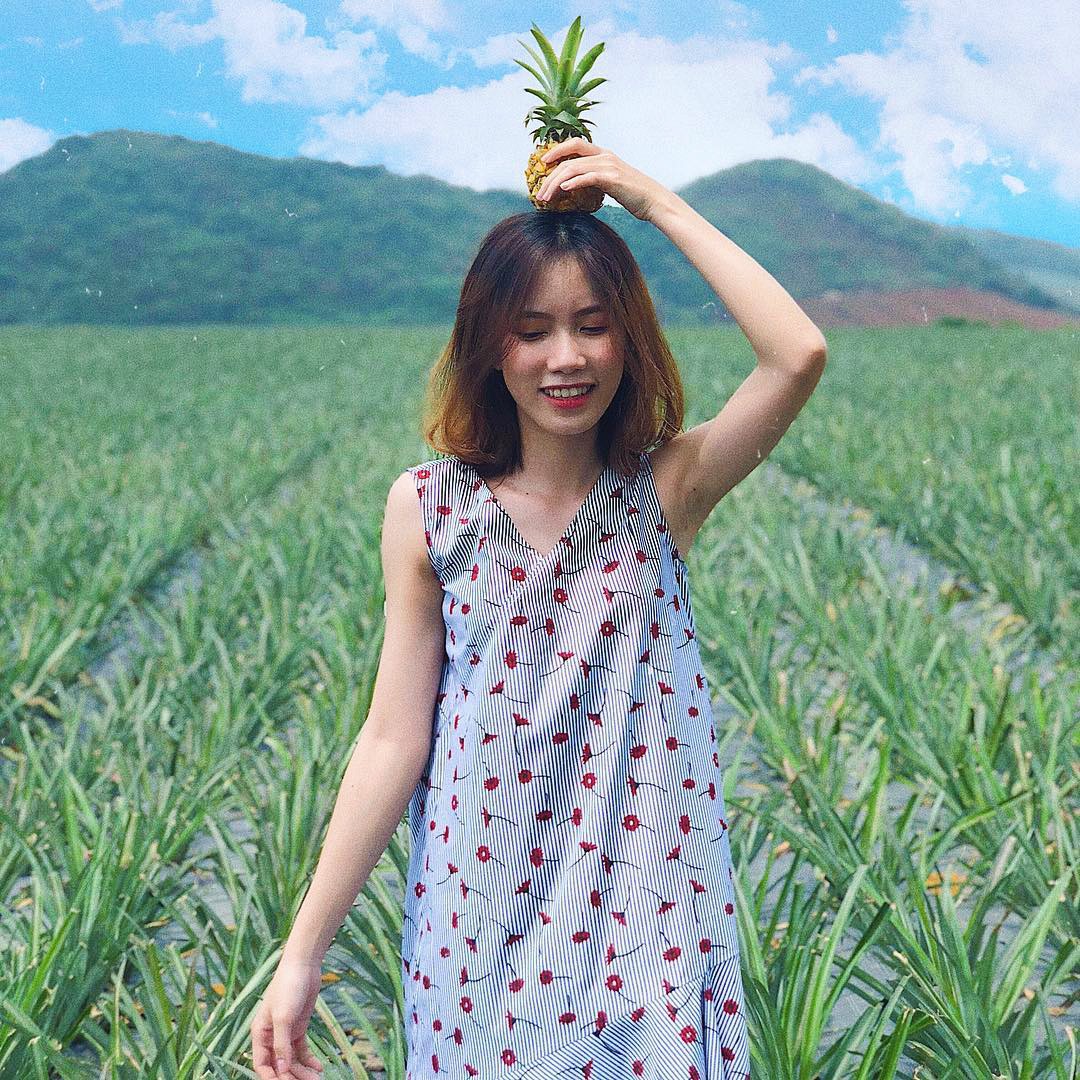 C&aacute;nh đồng dứa h&uacute;t giới trẻ check-in ở Ninh B&igrave;nh - Ảnh 8.