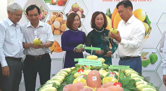 Sau Đồng Tháp, đến lượt trái xoài vùng núi An Giang "tràn" vào thị trường Mỹ