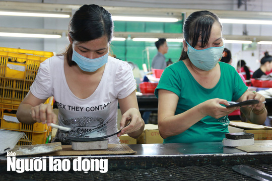 Đề xuất người lao động được tạm ứng tối đa 3 th&aacute;ng lương - Ảnh 1.