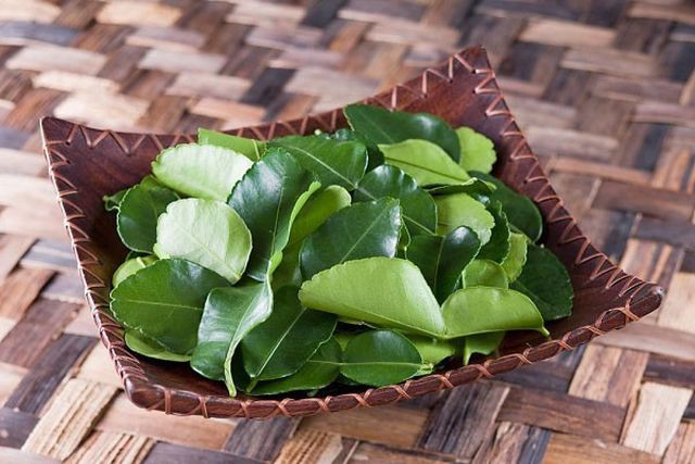 L&aacute; chanh ở Việt Nam sang ch&acirc;u &Acirc;u b&aacute;n 6,3 triệu đồng/kg - Ảnh 2.