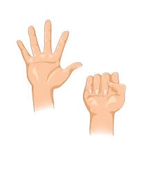 9 chuyển động đơn giản mỗi ng&agrave;y để giảm c&acirc;n v&agrave; tươi trẻ hơn - Ảnh 2.