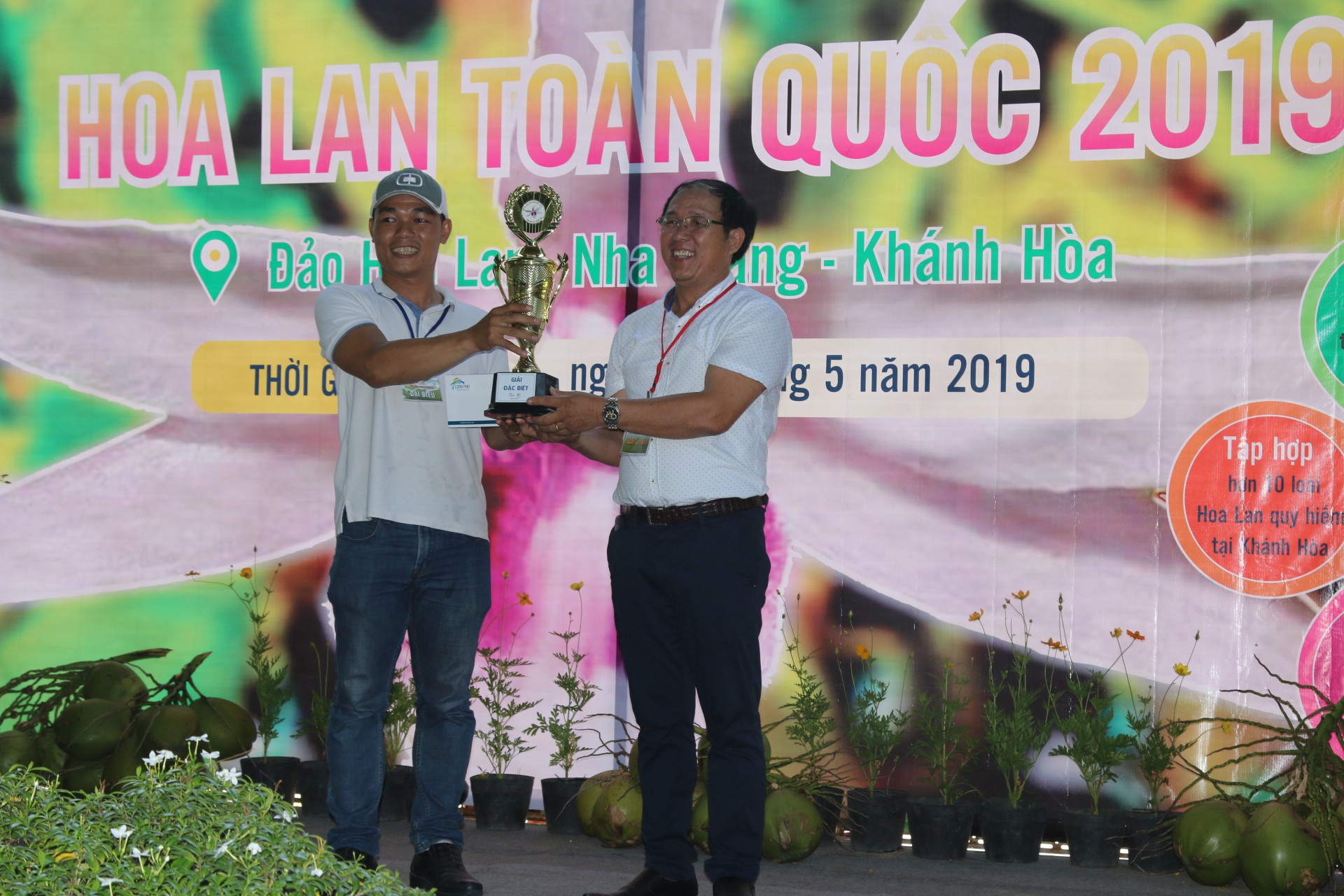 Chi&ecirc;m ngưỡng 800 gi&ograve; lan độc đ&aacute;o tại Hội thi Hoa lan to&agrave;n quốc - Ảnh 1.