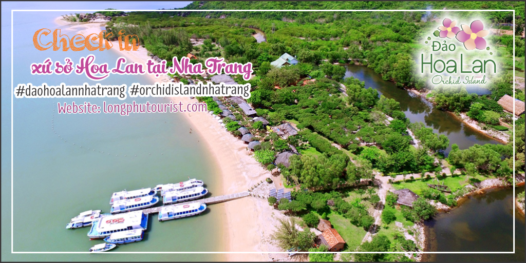 Chi&ecirc;m ngưỡng 800 gi&ograve; lan độc đ&aacute;o tại Hội thi Hoa lan to&agrave;n quốc - Ảnh 16.