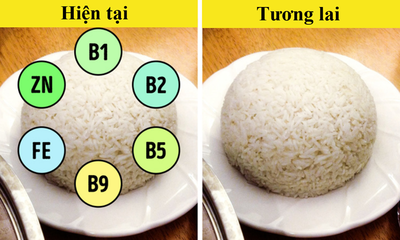 10 loại thực phẩm c&oacute; nguy cơ &ldquo;tuyệt chủng&rdquo; v&igrave; biến đổi kh&iacute; hậu - Ảnh 4.