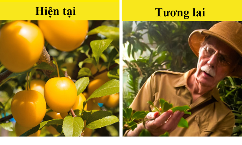 10 loại thực phẩm c&oacute; nguy cơ &ldquo;tuyệt chủng&rdquo; v&igrave; biến đổi kh&iacute; hậu - Ảnh 5.