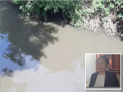 Chưa kiểm soát nguồn xả thải, vội nói cá chết do trời!