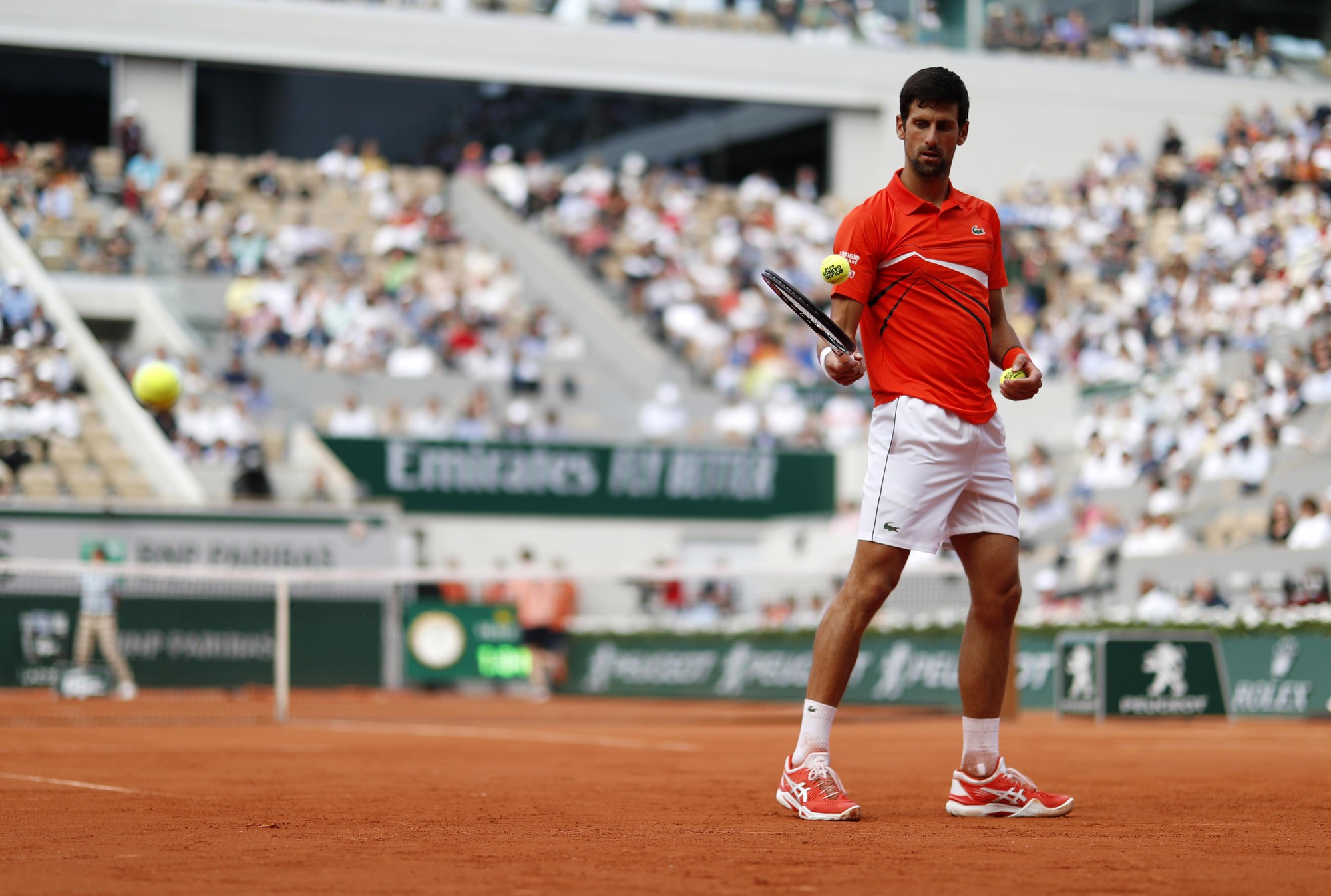 Djokovic, Nadal n&oacute;i g&igrave; khi dễ d&agrave;ng qua v&ograve;ng 1 Roland Garros 2019? - Ảnh 1.