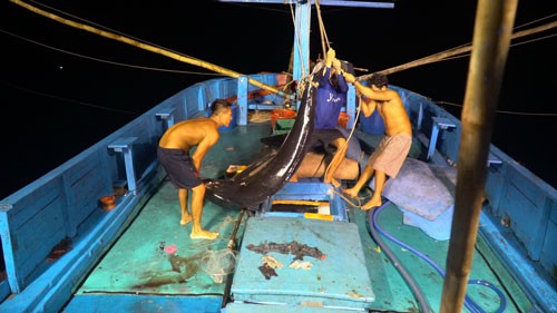 Một triệu lá cờ Tổ quốc cùng ngư dân bám biển: Căng sức, cân não giữa biển đêm