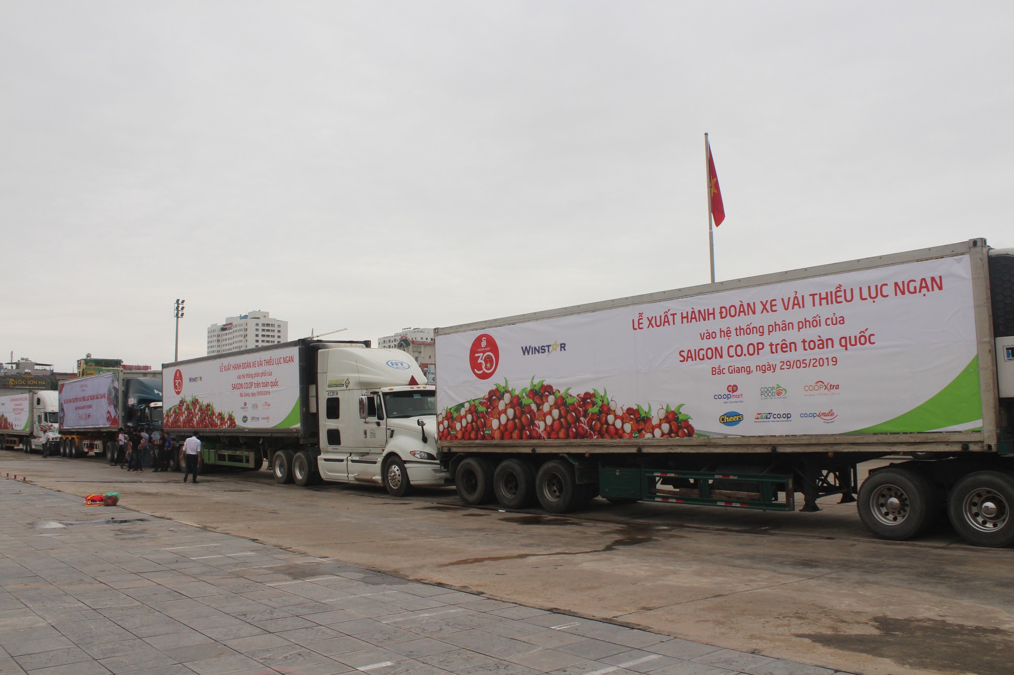 Đoàn xe container nối đuôi chở trái vải Bắc Giang vào Nam