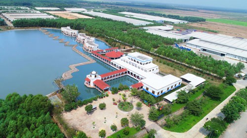 Ngỡ ngàng với resort bò sữa Vinamilk