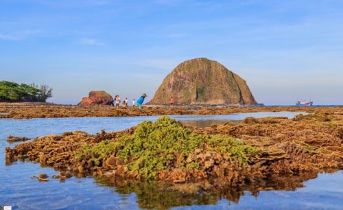 San hô kêu cứu!